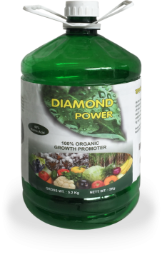 Diamond Power – 5Kg. Jar