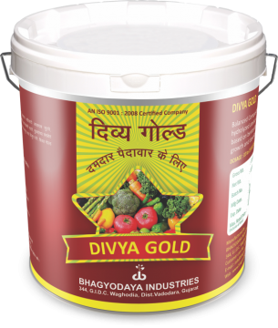Divya Gold – 10Kg. Bucket