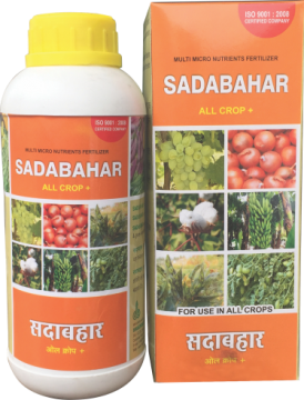Sadabahar (Maharashtra Grade – I )