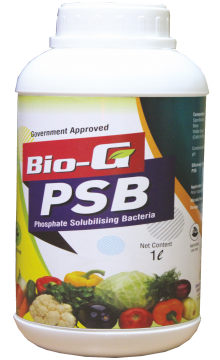Phosphate Solubilizing Bacteria – Bio G